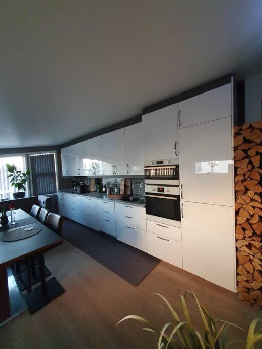 Modern Loftsleilighet フレドリクスタ エクステリア 写真